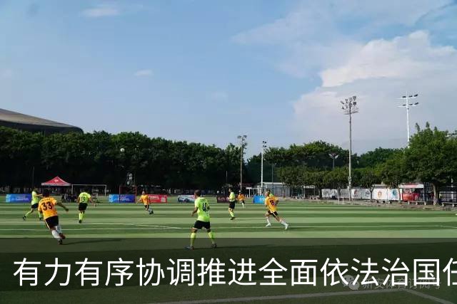 有力有序协调推进全面依法治国任务落实（权威发布·开局起步“十五五”）